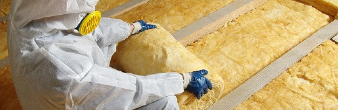 Insulation Pros of Georgia Cover Image