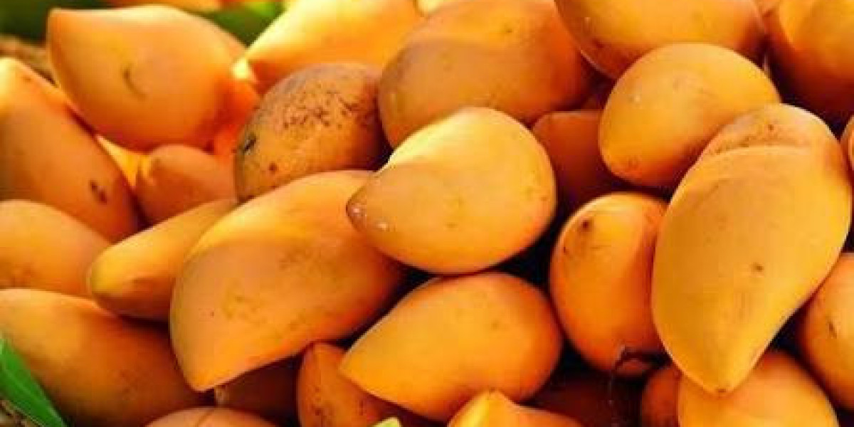 Mango Companies in Pakistan to Mango Producers, Suppliers, and Exporters