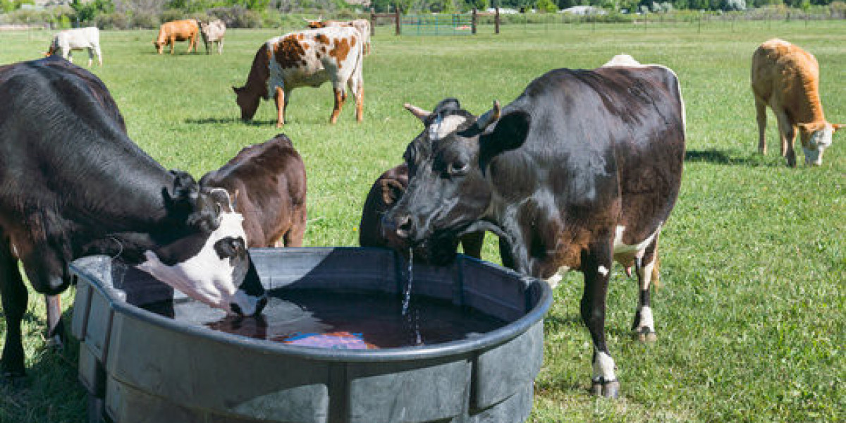 How Chlorine Dioxide Water Treatment Reduces Disease Risk In Livestock