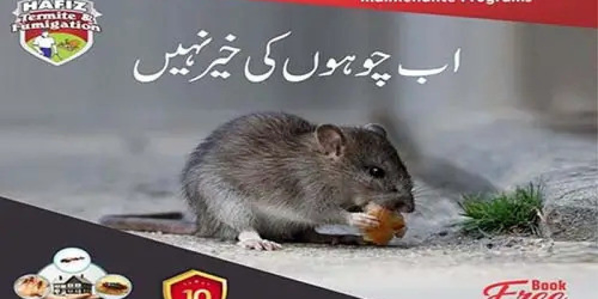 Rat Killer & Rodent Control Services | Hafizpestcontrol