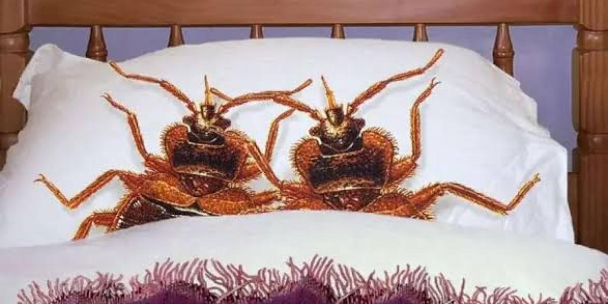 Bed Bug Control Spray in Lahore | Effective Solutions for Bed Bug Elimination