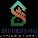 Sidhu Brothers Profile Picture