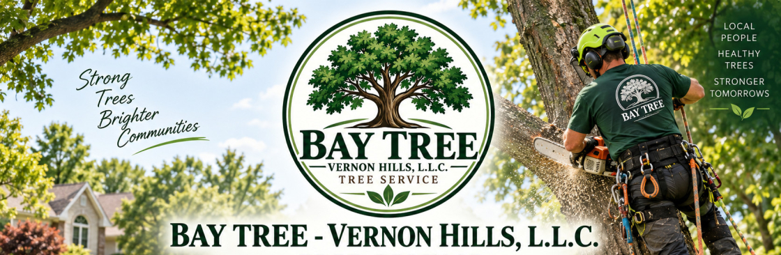 BAY TREE  VERNON HILLS LLC baytreevernonhillsllc Cover Image