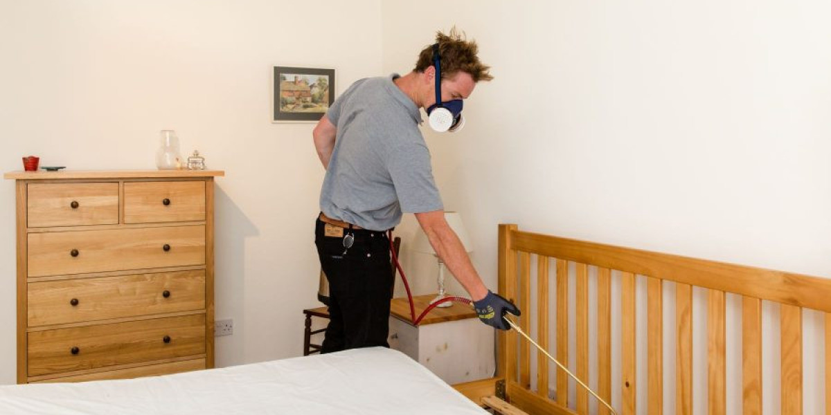 Practical Ways to Deal With Bed Bug Problems at Home